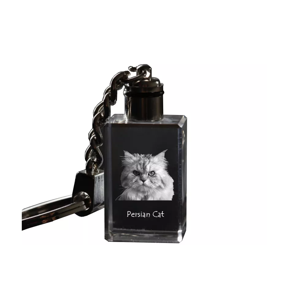 Persian - Crystal pendant with cat photo, illuminated pendant, unique gift by Art-Dog brand