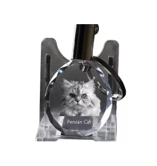 Perserkatze - Fob with cat photo, crystal key ring in gift box, unique gift by Art-Dog brand