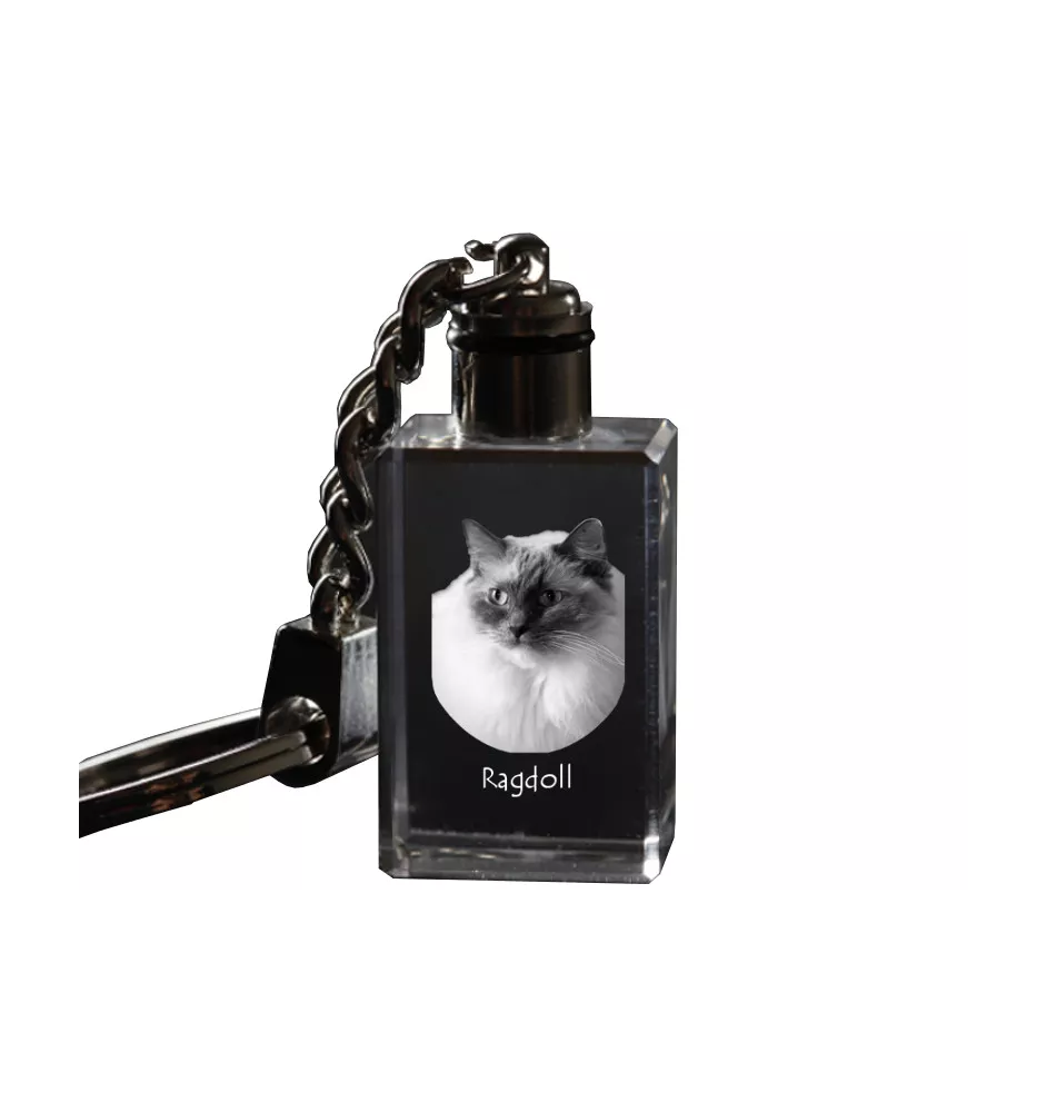 Ragdoll - Crystal pendant with cat photo, illuminated pendant, unique gift by Art-Dog brand