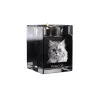 Persan - Bougeoir avec photo de chat, porte bougie en cristal, cadeau personnalisé par la marque Art-Dog
