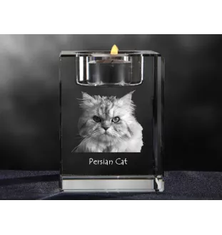 Perser - Kerzenhalter mit Katzenfoto, Teelichthalter aus Kristall, personalisiertes Geschenk der Marke Art-Dog
