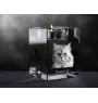 Perski świecznik kryształowy z kotem Art-Dog