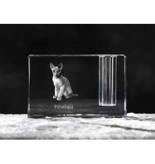 Peterbald - Pen stand, crystal organiser with cat photo, unique desk decoration by Art-Dog brand