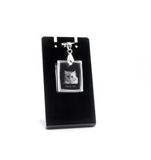 Persian Cat - Crystal cat pendant, photo necklace, unique jewellery by Art-Dog