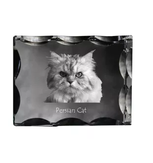 Chat persan - cristal avec une photo de chat, une statuette en verre avec une photo, un cadre exceptionnel avec une photo de la marque Art-Dog