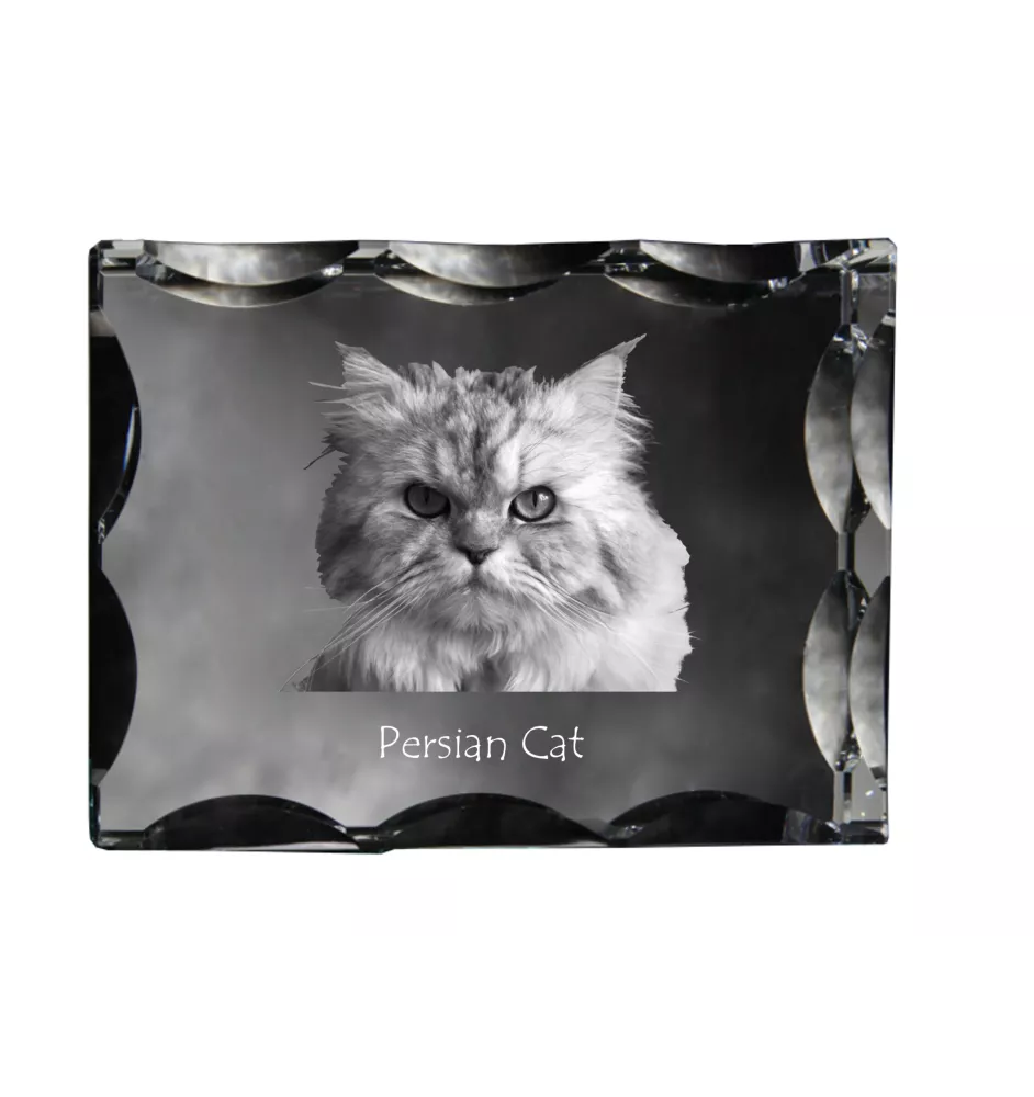 Persian Cat - crystal with a cat picture, glass statuette with a picture, unique frame with a picture from Art-Dog brand