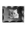 Persian Cat - crystal with a cat picture, glass statuette with a picture, unique frame with a picture from Art-Dog brand