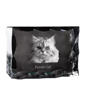 Chat persan - cristal avec une photo de chat, une statuette en verre avec une photo, un cadre exceptionnel avec une photo de la marque Art-Dog