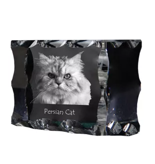 Perserkatze - Kristall mit Katzenbild, Glasstatuette mit Bild, einzigartiger Bilderrahmen der Marke Art-Dog