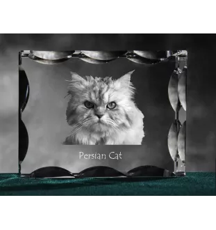 Chat persan - cristal avec une photo de chat, une statuette en verre avec une photo, un cadre exceptionnel avec une photo de la marque Art-Dog