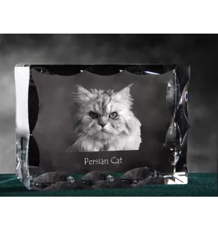 Perserkatze - Kristall mit Katzenbild, Glasstatuette mit Bild, einzigartiger Bilderrahmen der Marke Art-Dog