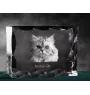 Chat persan - cristal avec une photo de chat, une statuette en verre avec une photo, un cadre exceptionnel avec une photo de la marque Art-Dog