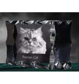 Persian Cat - crystal with a cat picture, glass statuette with a picture, unique frame with a picture from Art-Dog brand