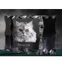 Chat persan - cristal avec une photo de chat, une statuette en verre avec une photo, un cadre exceptionnel avec une photo de la marque Art-Dog