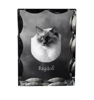 Ragdoll - cristal avec une photo de chat, une statuette en verre avec une photo, un cadre exceptionnel avec une photo de la marque Art-Dog