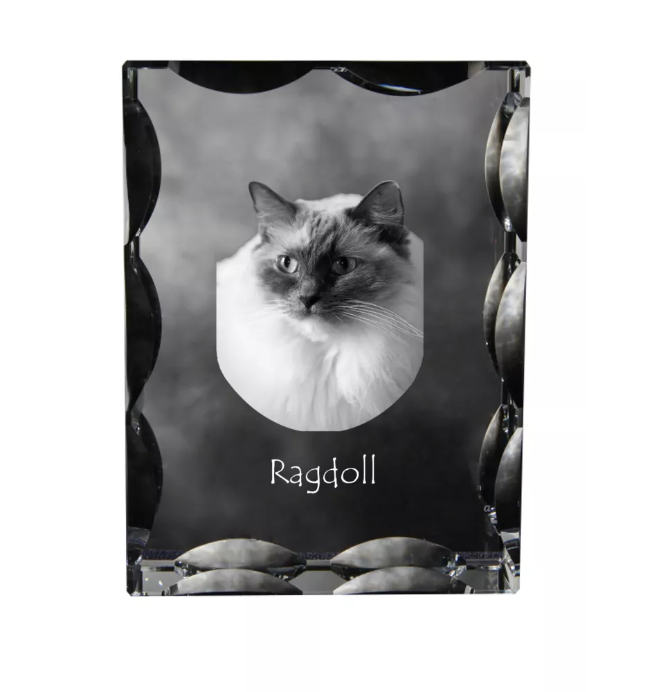 Ragdoll - cristal avec une photo de chat, une statuette en verre avec une photo, un cadre exceptionnel avec une photo de la marque Art-Dog