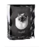Ragdoll - crystal with a cat picture, glass statuette with a picture, unique frame with a picture from Art-Dog brand