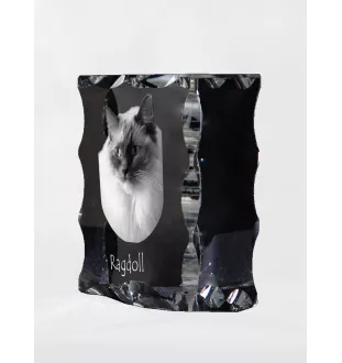 Ragdoll - cristal avec une photo de chat, une statuette en verre avec une photo, un cadre exceptionnel avec une photo de la marque Art-Dog
