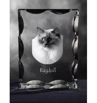 Ragdoll - crystal with a cat picture, glass statuette with a picture, unique frame with a picture from Art-Dog brand