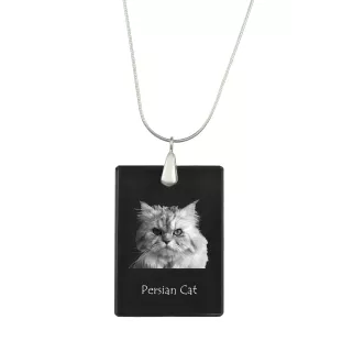 Chat persan - Crystal pendant with cat, silver necklace with photo, personalised pendant by Art-Dog brand