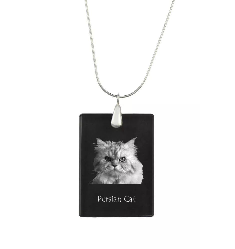 Persian Cat - Crystal pendant with cat, silver necklace with photo, personalised pendant by Art-Dog brand