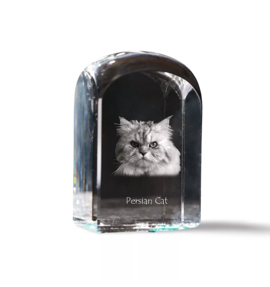 Chat persan - un cube en cristal avec une photo, une photo de chat dans le cristal, un presse-papiers cubique de la marque Art-Dog