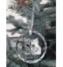 Persian Cat - crystal bauble with a photo, photo of a cat in crystal, personalized Christmas tree ornament by Art-Dog brand