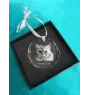 Chat persan - boule de Noël en cristal avec une photo, photo d'un chat dans le cristal, décoration personnalisée pour sapin de Noël de la marque Art-Dog