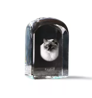 Ragdoll - un cube en cristal avec une photo, une photo de chat dans le cristal, un presse-papiers cubique de la marque Art-Dog