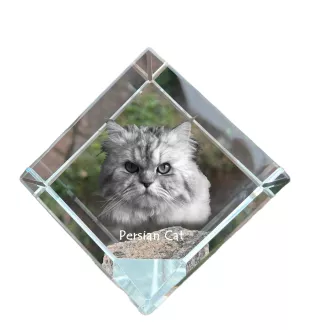 Persian Cat - crystal cube with a picture of a cat, crystal with a picture of a horse, cubic paperweight by Art-Dog brand