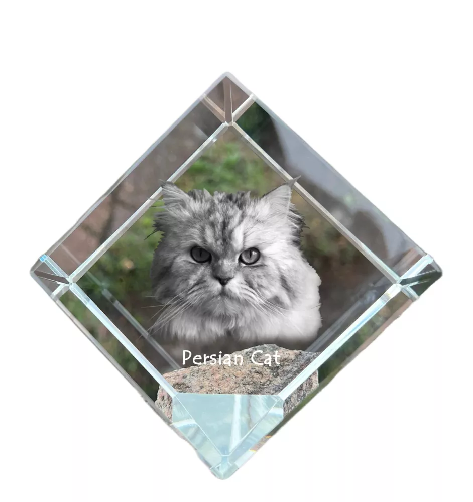 Chat persan - un cube en cristal avec une photo de chat, une photo de cheval dans le cristal, un presse-papiers cubique de la marque Art-Dog