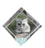Chat persan - un cube en cristal avec une photo de chat, une photo de cheval dans le cristal, un presse-papiers cubique de la marque Art-Dog