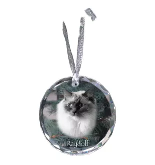 Ragdoll - crystal bauble with a photo, photo of a cat in crystal, personalized Christmas tree ornament by Art-Dog brand