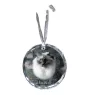 Ragdoll - crystal bauble with a photo, photo of a cat in crystal, personalized Christmas tree ornament by Art-Dog brand