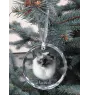 Ragdoll - crystal bauble with a photo, photo of a cat in crystal, personalized Christmas tree ornament by Art-Dog brand
