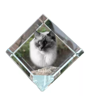 Ragdoll - un cube en cristal avec une photo de chat, une photo de cheval dans le cristal, un presse-papiers cubique de la marque Art-Dog