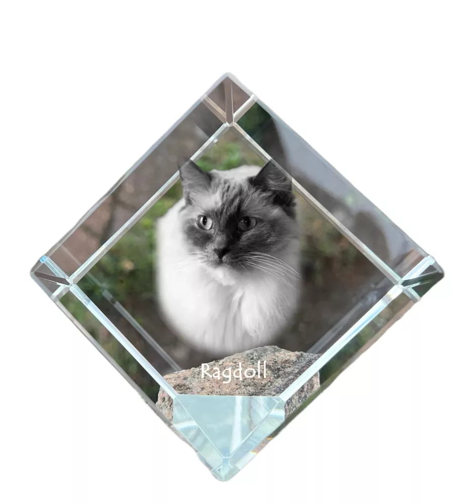 Ragdoll - crystal cube with a picture of a cat, crystal with a picture of a horse, cubic paperweight by Art-Dog brand
