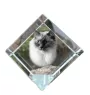 Ragdoll - crystal cube with a picture of a cat, crystal with a picture of a horse, cubic paperweight by Art-Dog brand