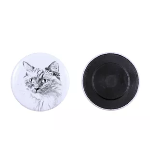 Ragdoll - collection of unique magnets, own photo, Art-Dog brand