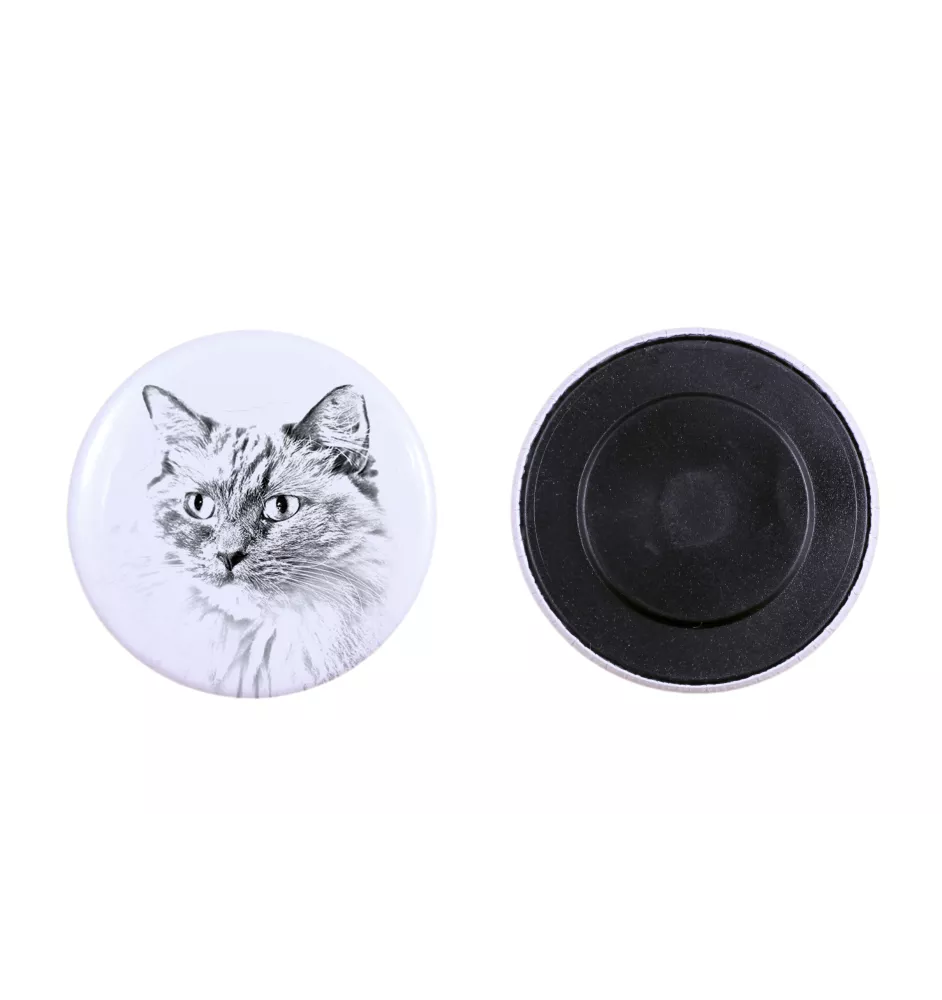 Ragdoll - collection of unique magnets, own photo, Art-Dog brand