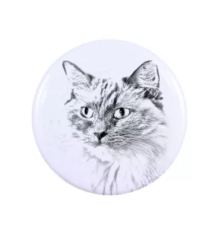 Ragdoll - collection de magnets uniques, photo personnelle, marque Art-Dog