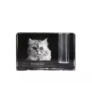 Persian Cat - Pen stand, crystal organiser with cat photo, unique desk decoration by Art-Dog brand