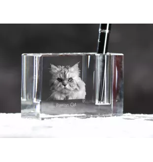 Persian Cat - Pen stand, crystal organiser with cat photo, unique desk decoration by Art-Dog brand
