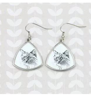 Ragdoll - boucles d'oreilles avec un chat, boucles d'oreilles pendantes avec une image, bijoux personnalisés avec l'impression de la marque Art-Dog