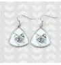 Ragdoll - cat earrings, hanging earrings with a picture, personalized jewelry with Art-Dog brand print.