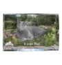 Russian Blue - crystal with a picture of a cat, photo in glass, modern exhibition of Art-Dog brand photo