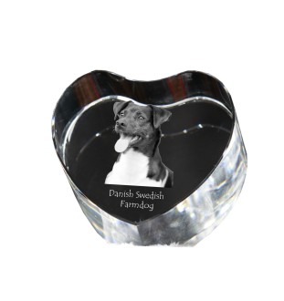 Dänisch-Schwedischer Farmhund, Dansk-Svensk Gårdshund - Hundebild im Kristall, Kristallherz, einzigartiger Bilderrahmen der Marke Art-Dog