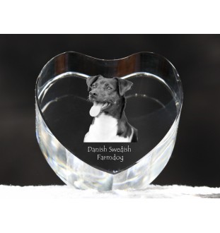 Dänisch-Schwedischer Farmhund, Dansk-Svensk Gårdshund - Hundebild im Kristall, Kristallherz, einzigartiger Bilderrahmen der Marke Art-Dog