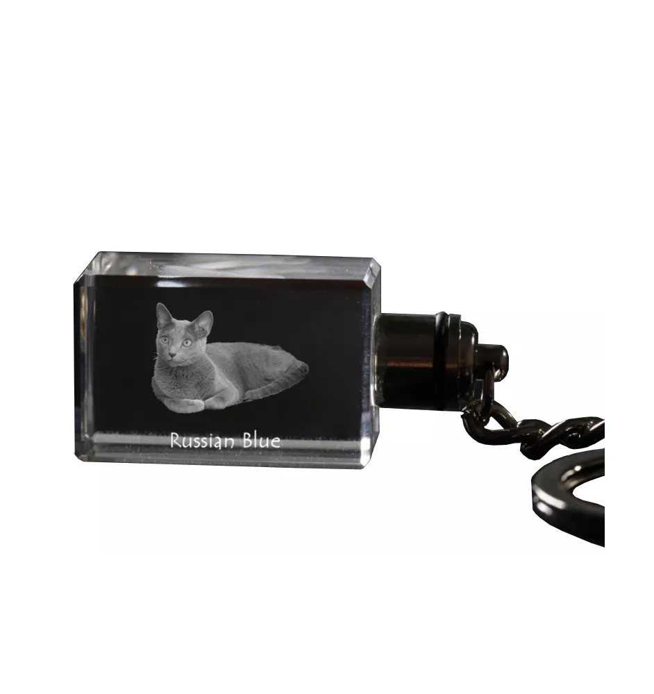 Russian Blue - Crystal pendant with cat photo, illuminated pendant, unique gift by Art-Dog brand