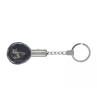 Bleu russe - Fob with cat photo, crystal key ring in gift box, unique gift by Art-Dog brand